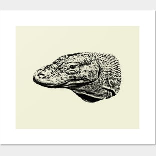 Komodo dragon Posters and Art